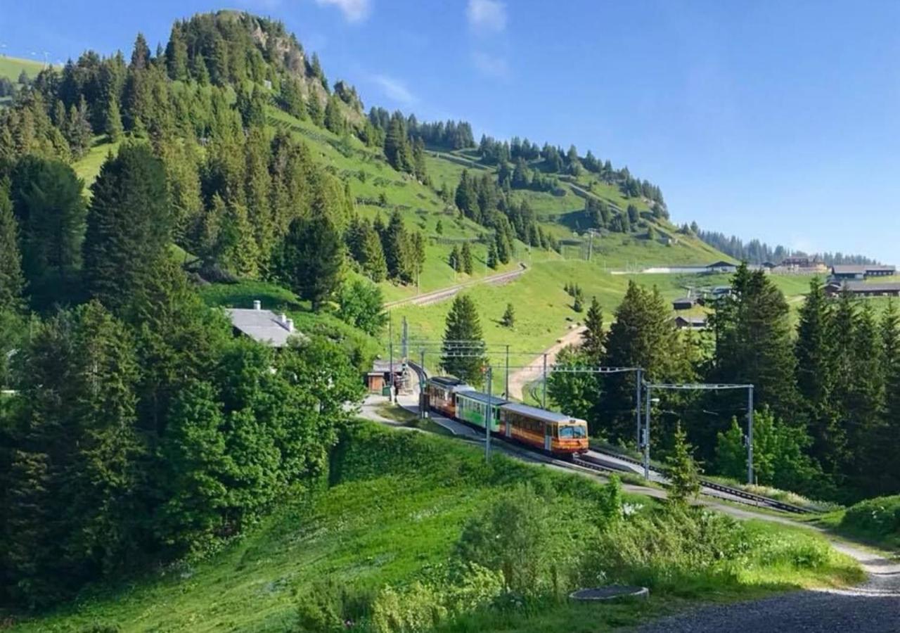 Maison De Montagne De Bretaye Acces Par Le Train Arret Bouquetin Villars-sur-Ollon Bagian luar foto